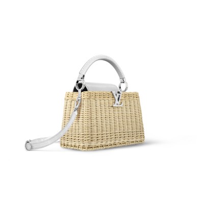 LOUIS VUITTON CAPUCINES BB N85520 (27*17*14cm) 